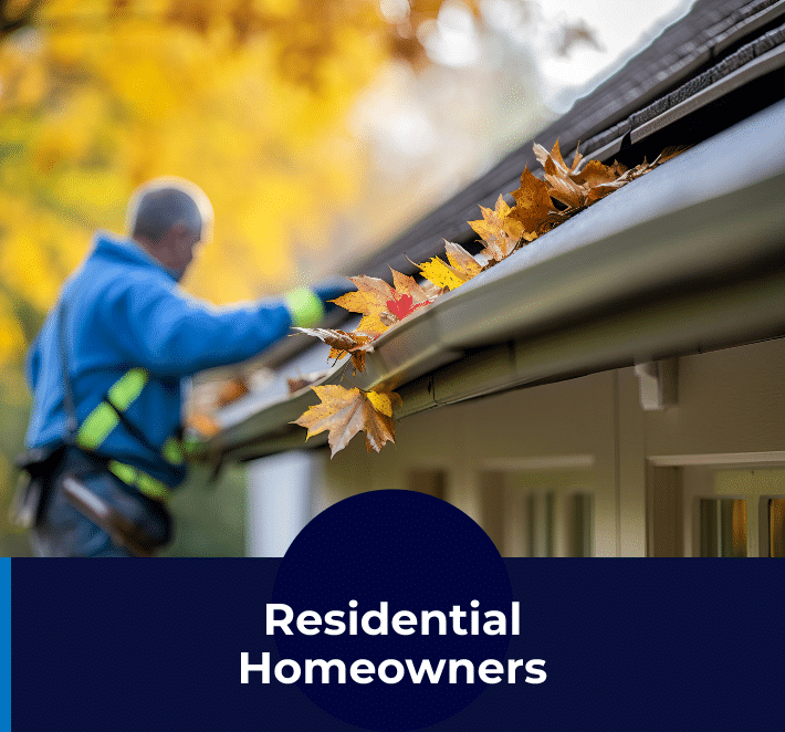 Gutter Cleaning